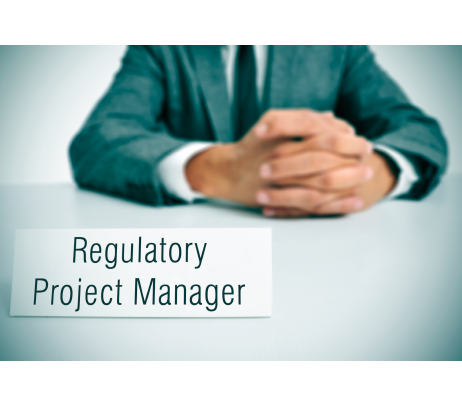 Regulatory project manager jobs