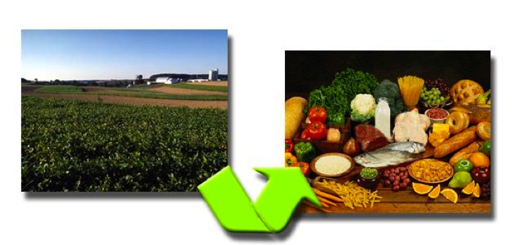 Farm field to consumer foods
