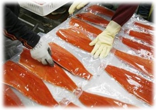 Workers vacuum seal fish fillets