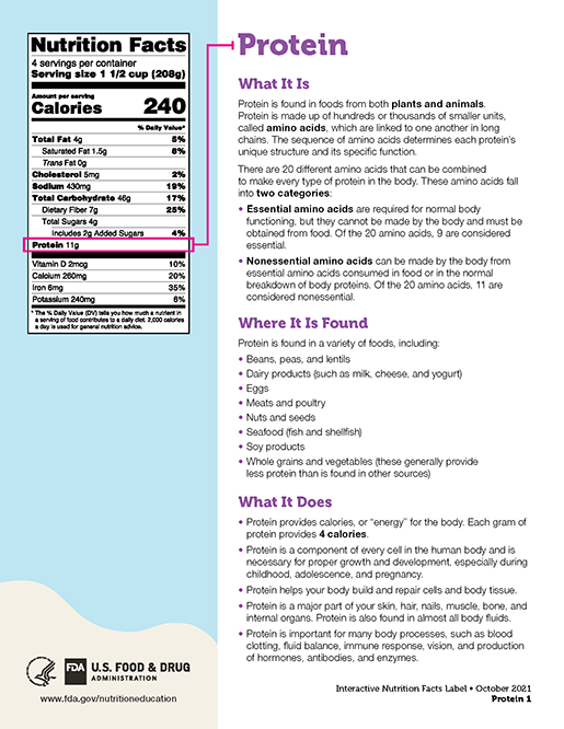 Protein Fact Sheet thumbnail