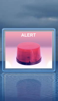 Alert